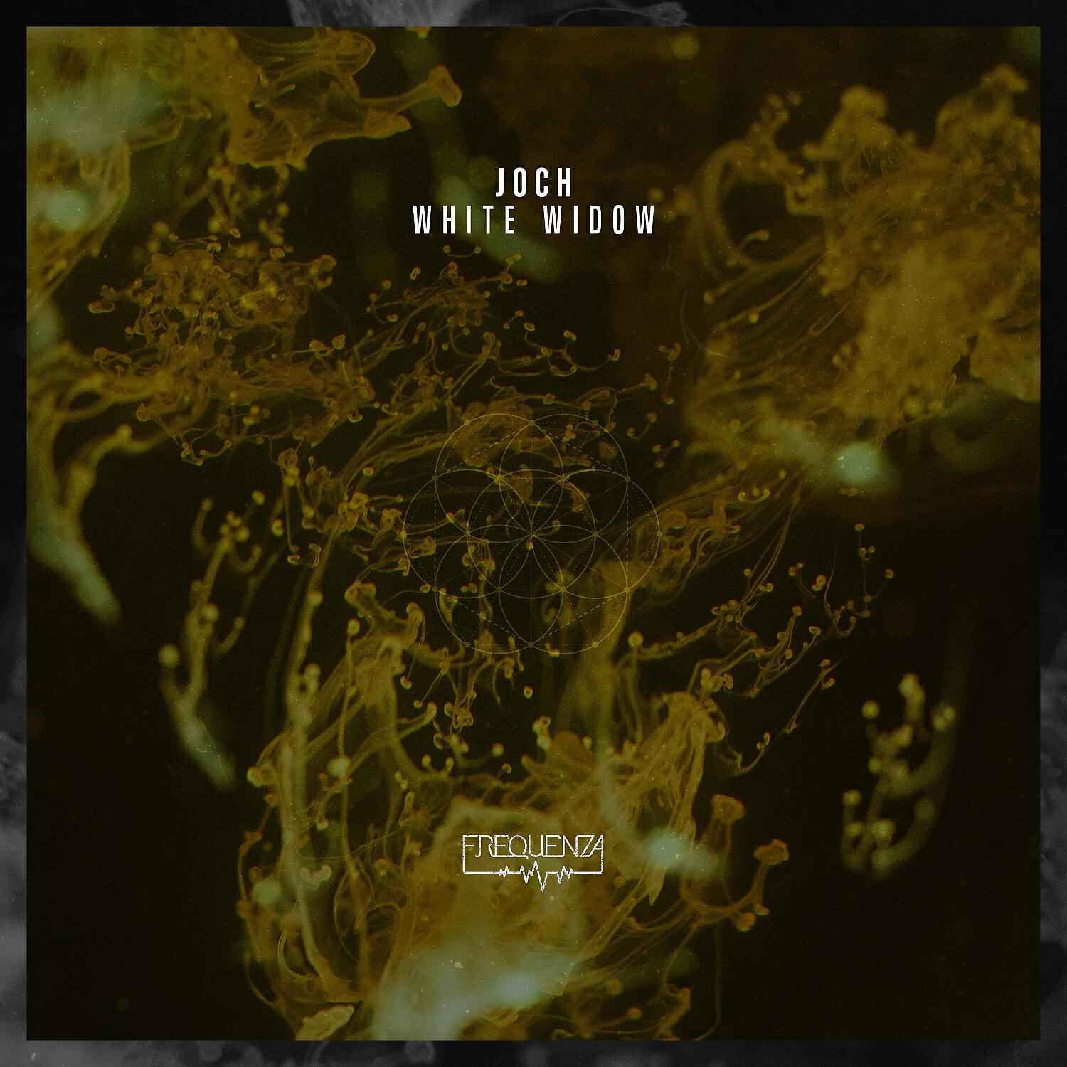 Joch - Changed (Original Mix)