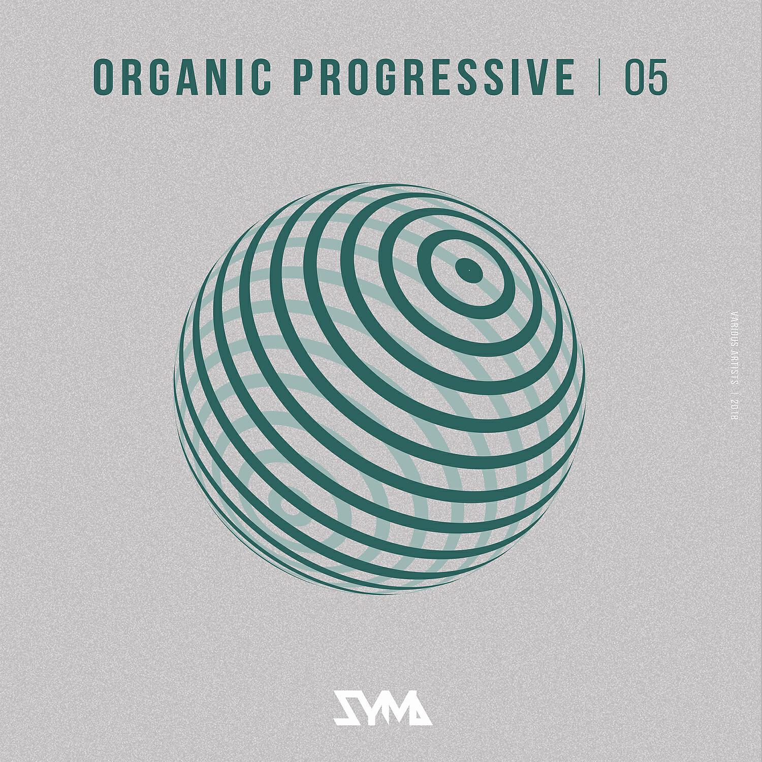 Gvozdini - Lunatic Express (Original Mix)