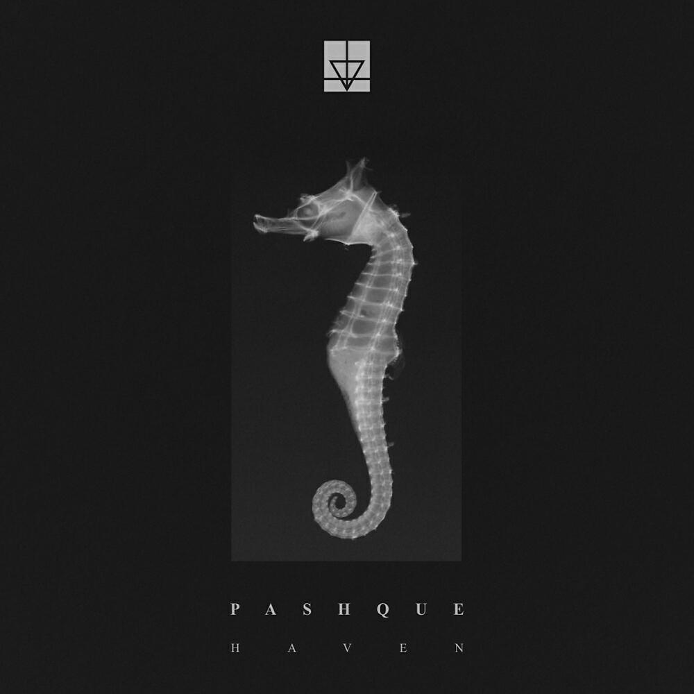 Pashque - Void (Fabio Papa Dub Tool Remix)