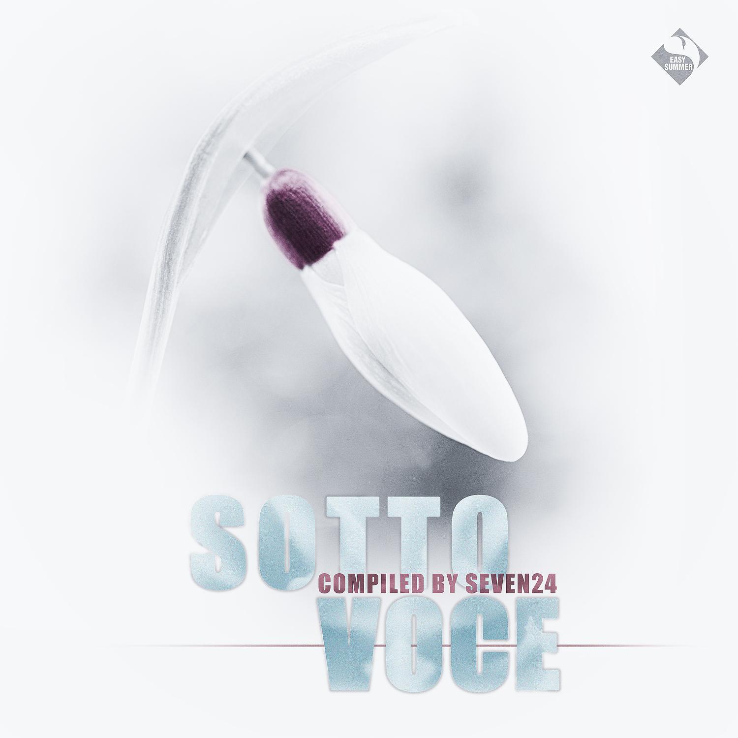 Постер альбома Sotto Voce, Vol.2 (Compiled by Seven24)
