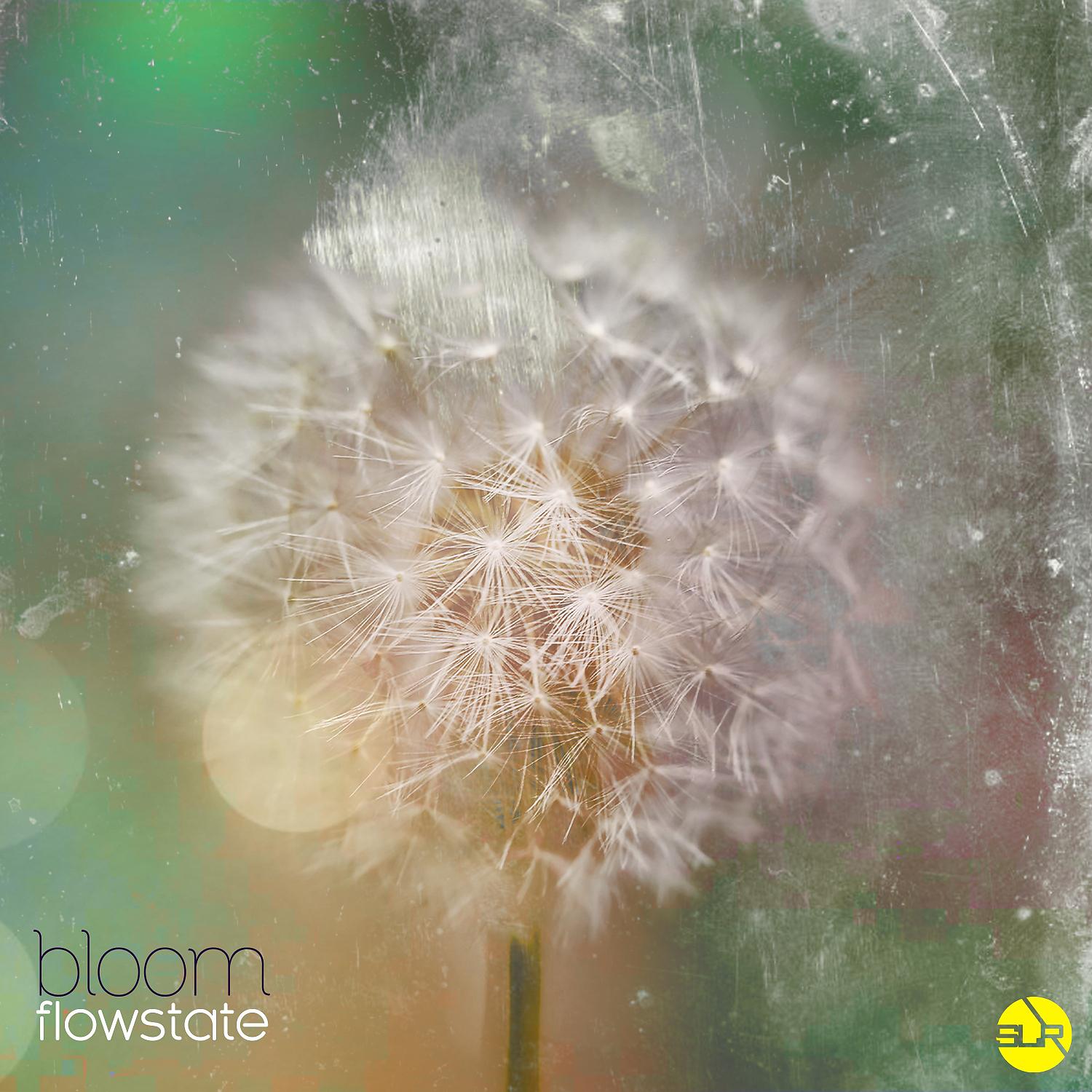 Постер альбома Flowstate