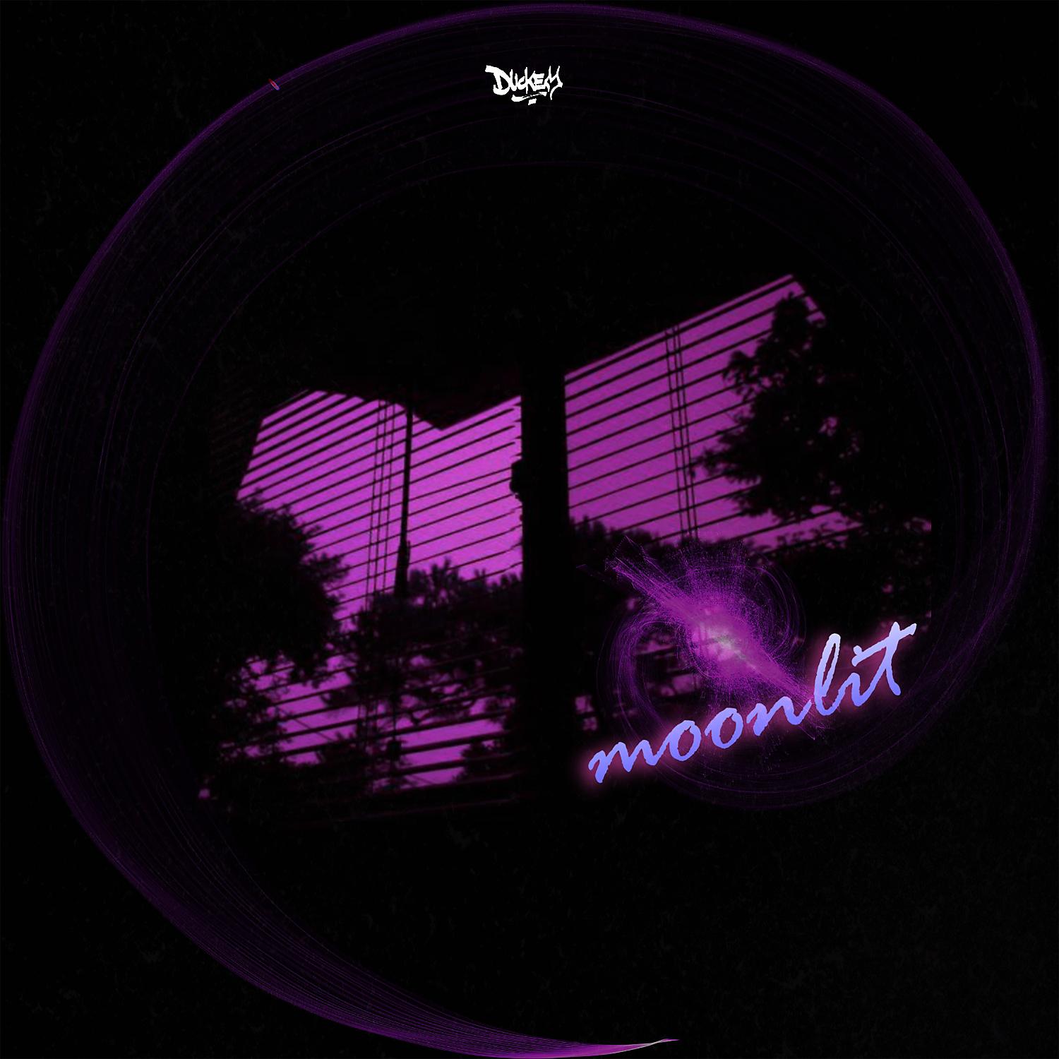 Постер альбома Moonlit