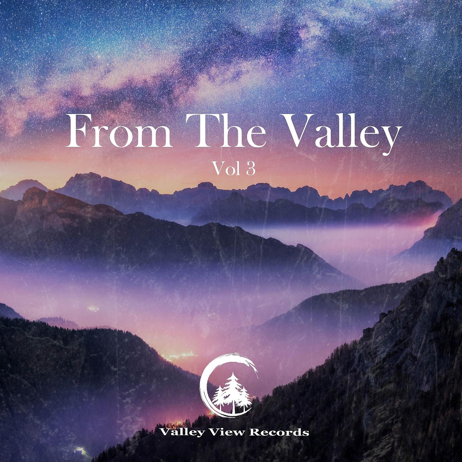 Постер альбома From the Valley: Vol 3