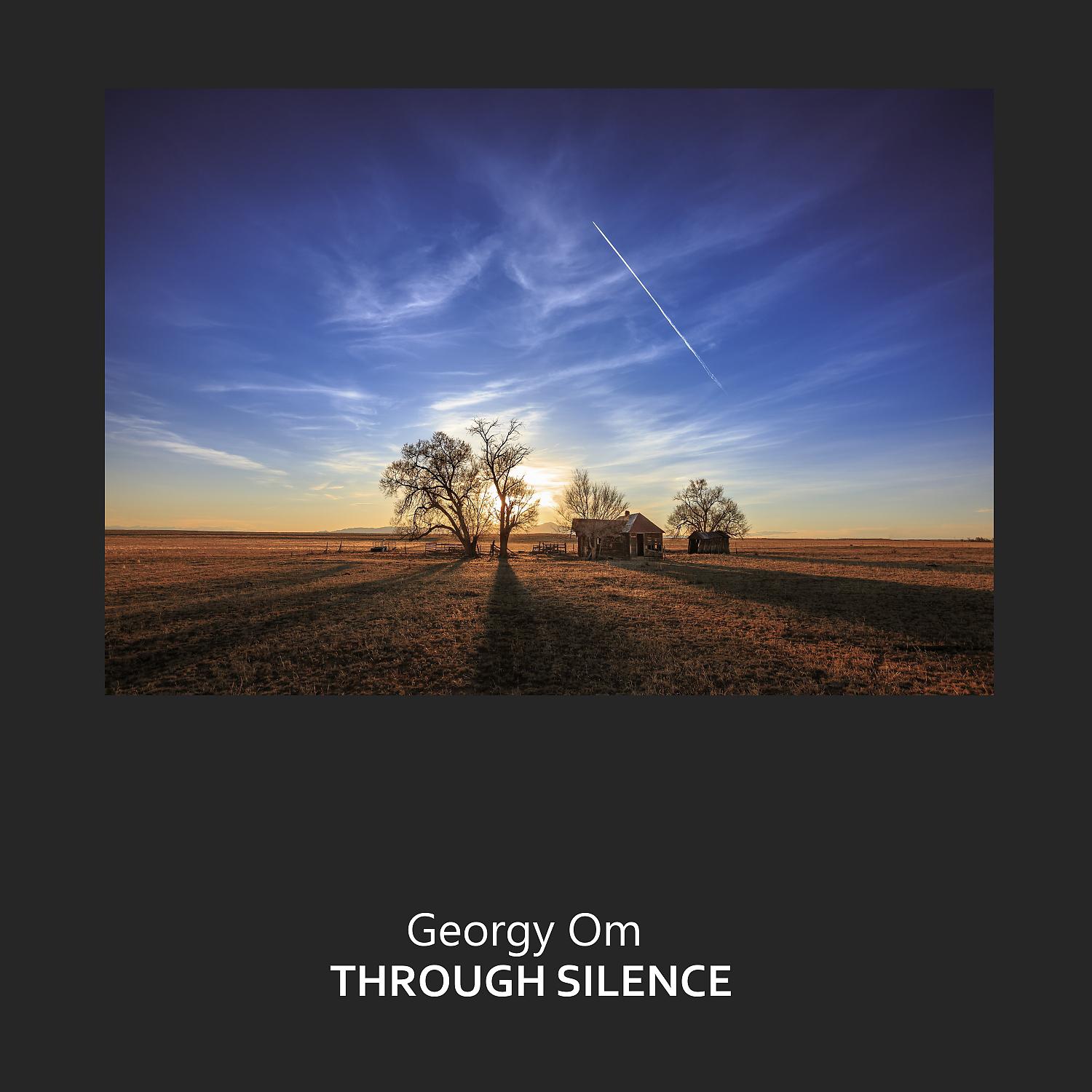Постер альбома Through Silence
