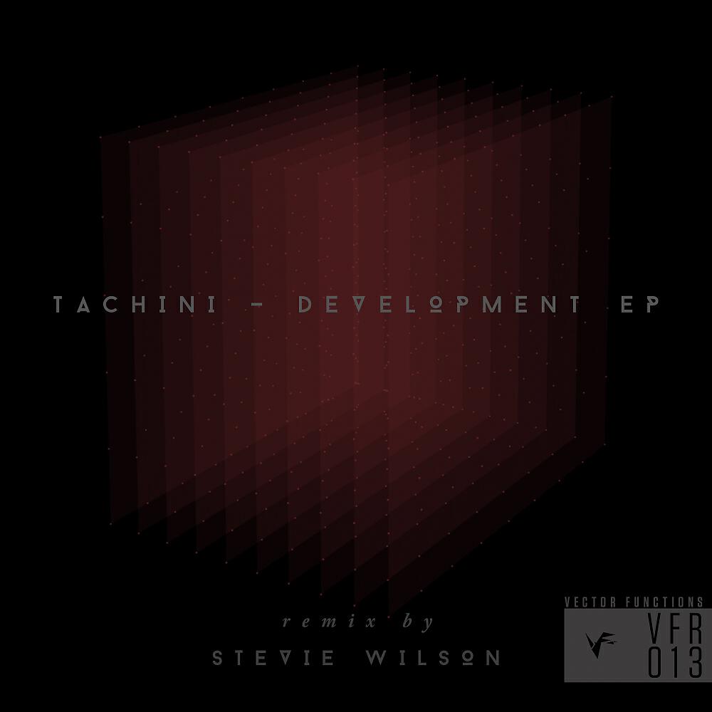 Tachini - Development (Stevie Wilson Remix)