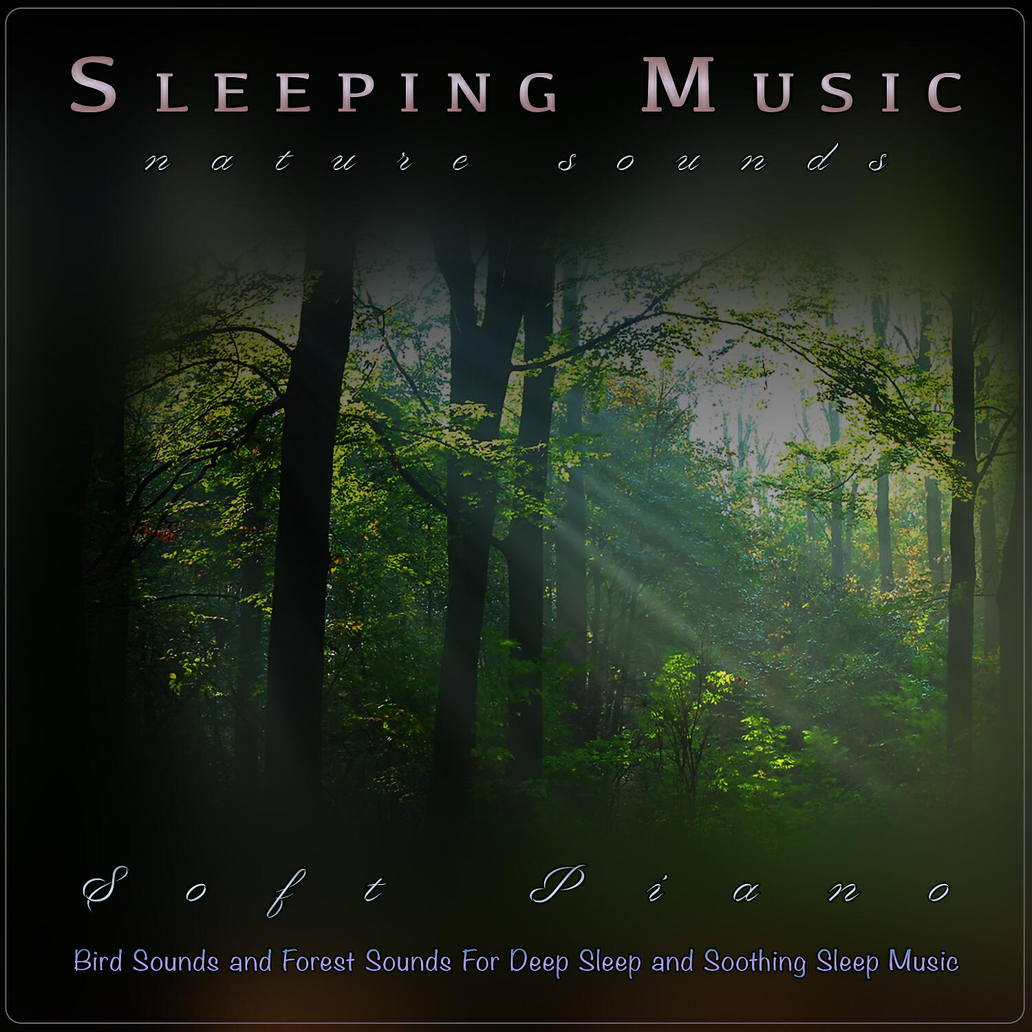 Sleeping Music - Ambient Background Forest Music