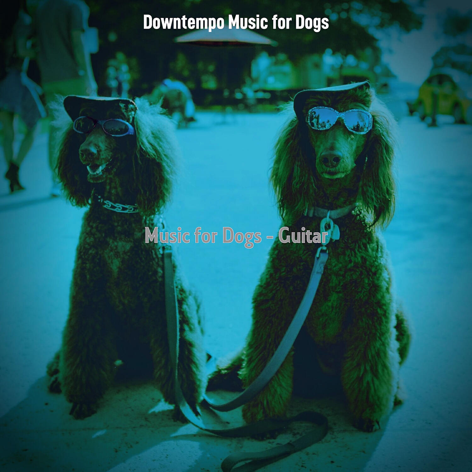 Downtempo Music for Dogs - Happening Jazz Guitar Trio - Vibe for Sleeping Dogs