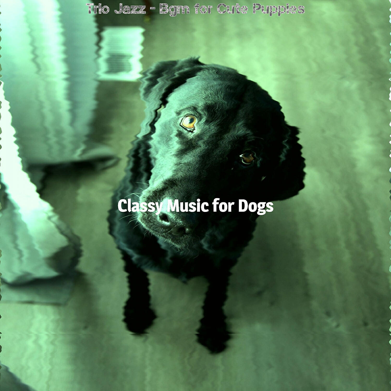 Classy Music for Dogs - Tremendous Music for Sleeping Dogs