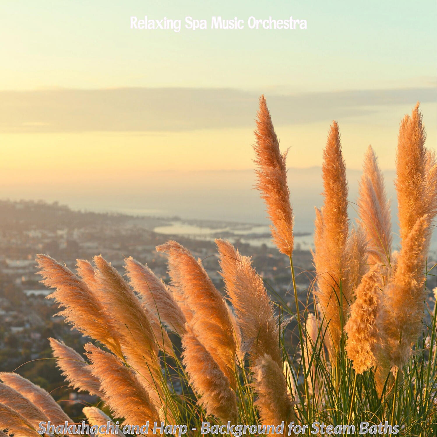 Relaxing Spa Music Orchestra - Majestic Backdrops for Aromatherapy Massages