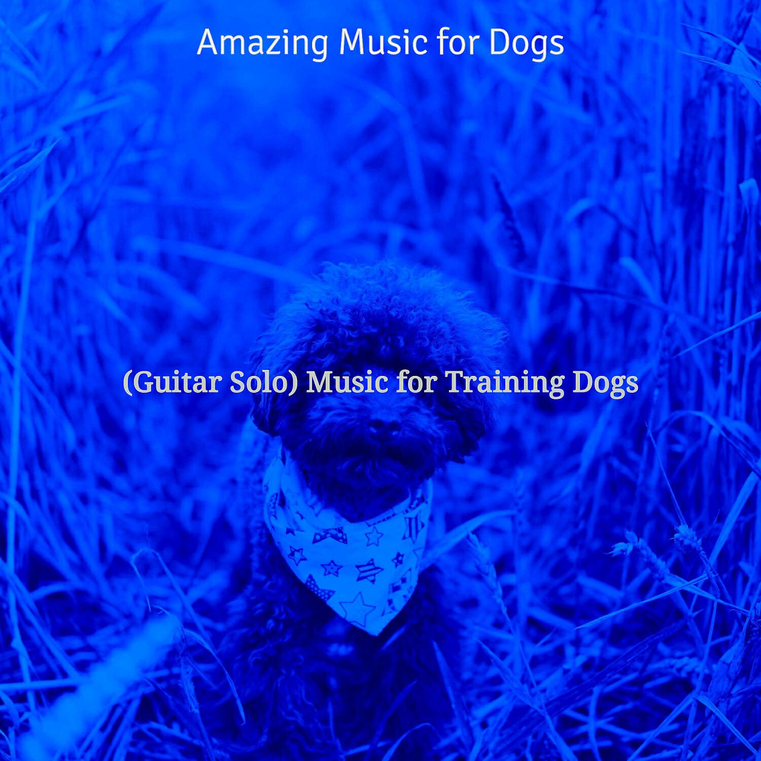 Amazing Music for Dogs - Lively Music for Lonely Dogs