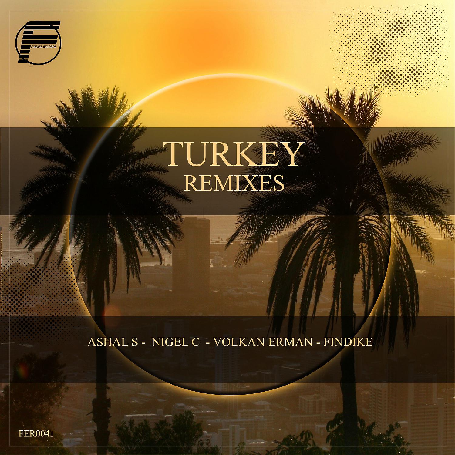 Постер альбома Turkey Remixes (Remixes)