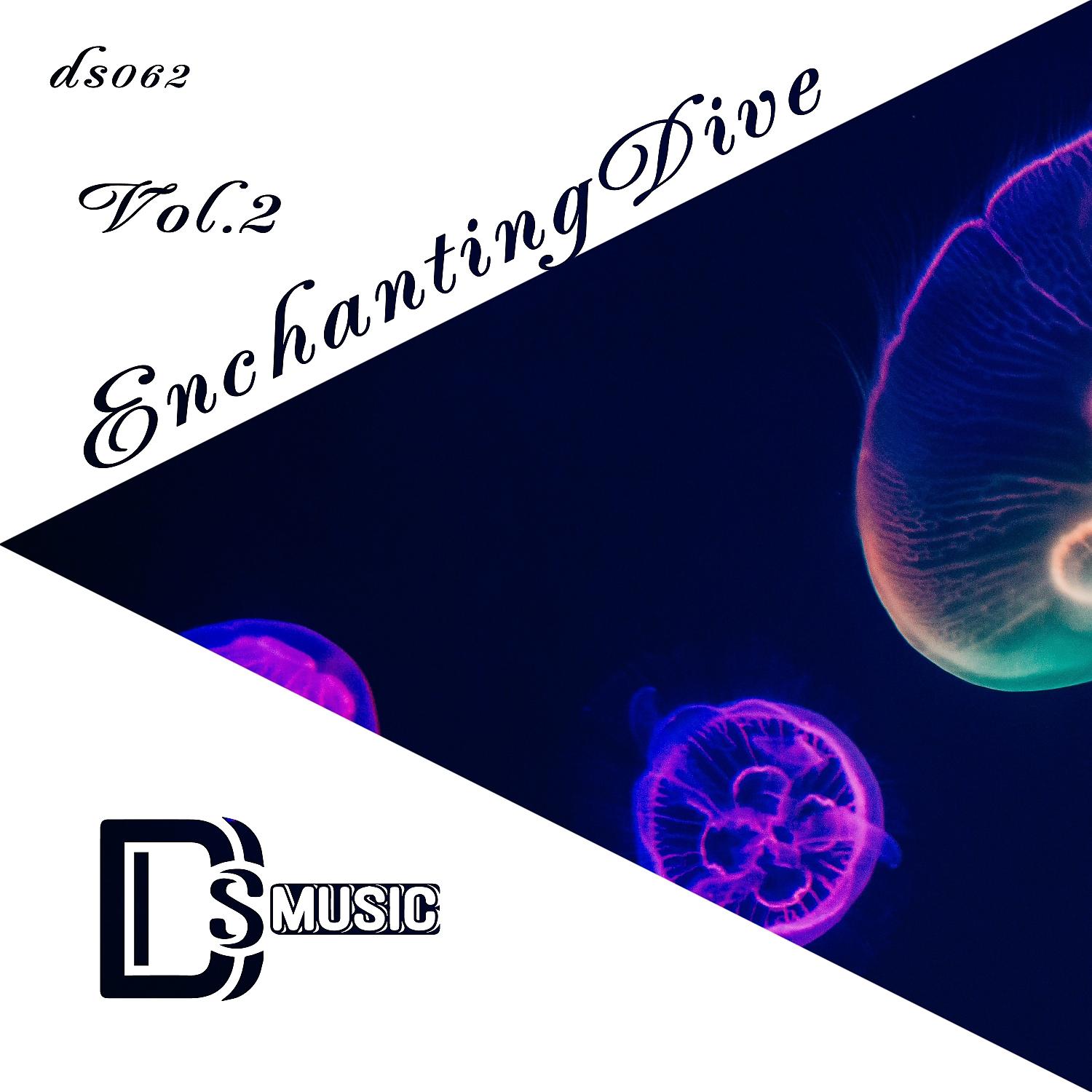 Постер альбома Enchanting Dive, Vol.2