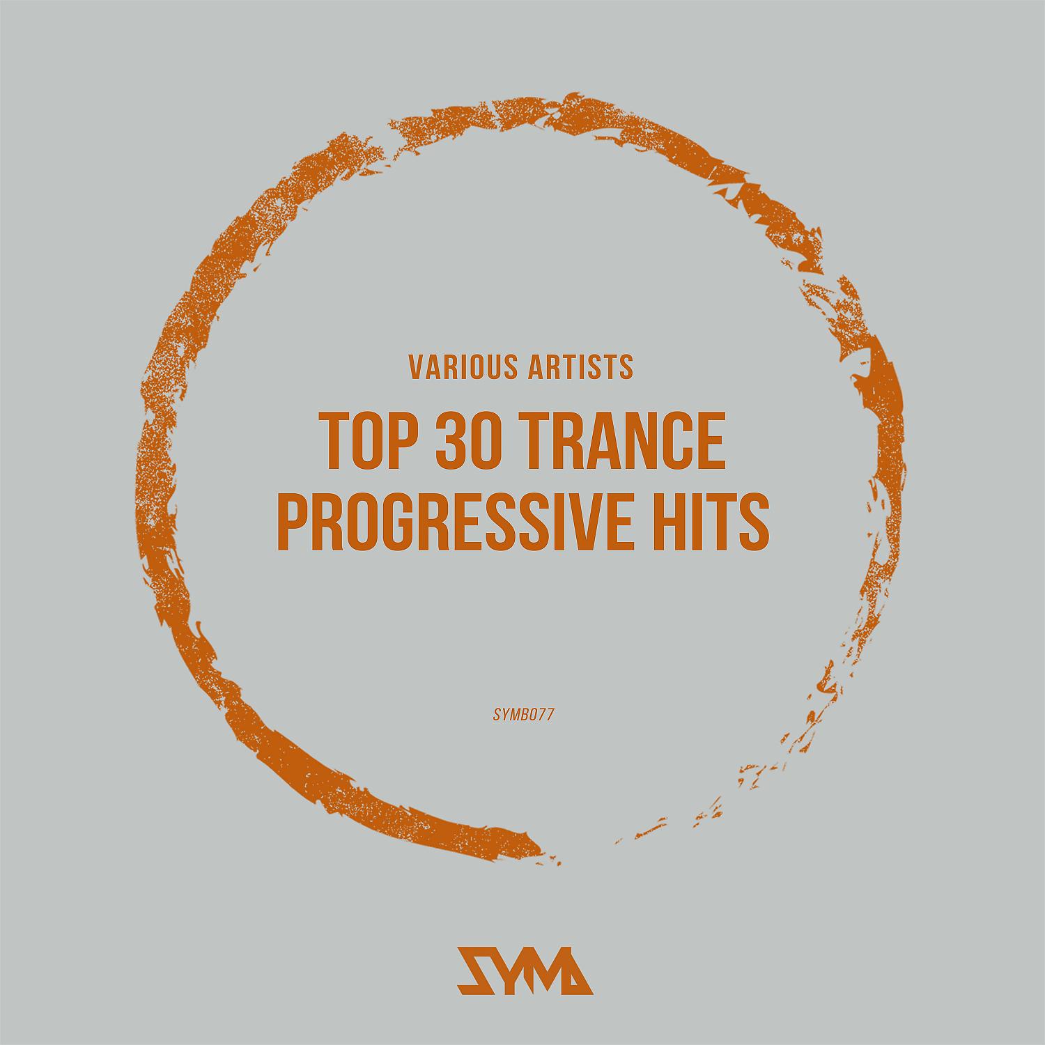 Постер альбома Top 30 Trance & Progressive Hits