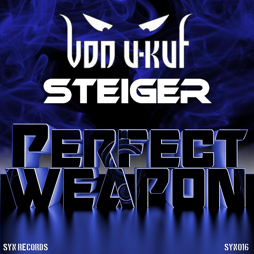 Постер альбома Perfect Weapon