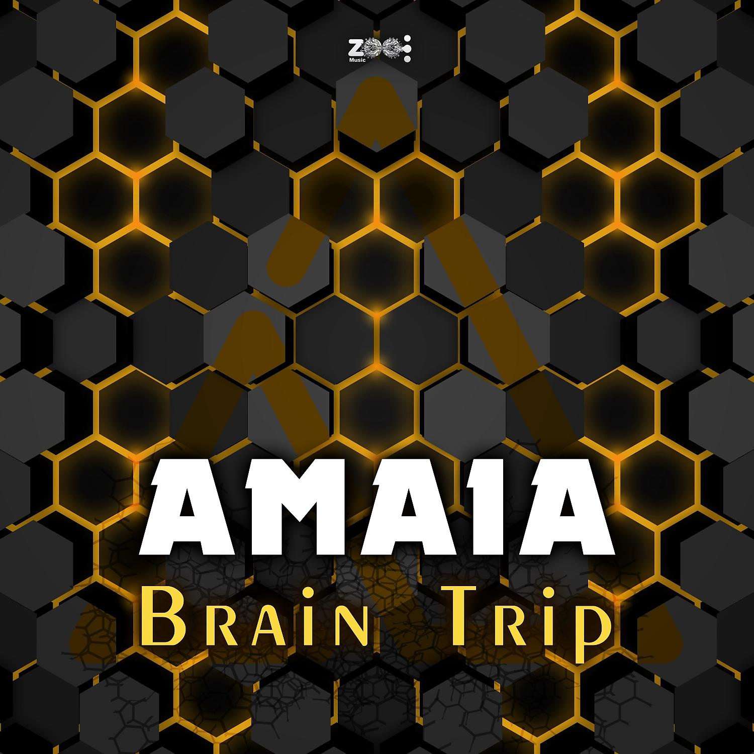 Постер альбома Brain Trip