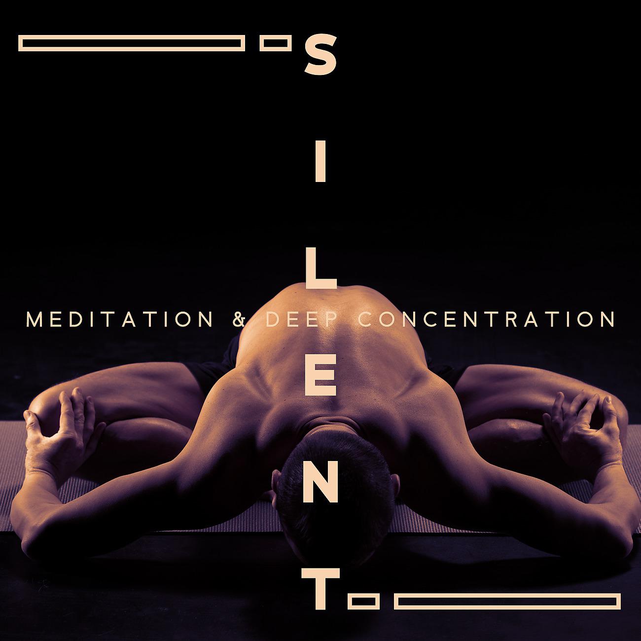 Постер альбома Silent Meditation & Deep Concentration