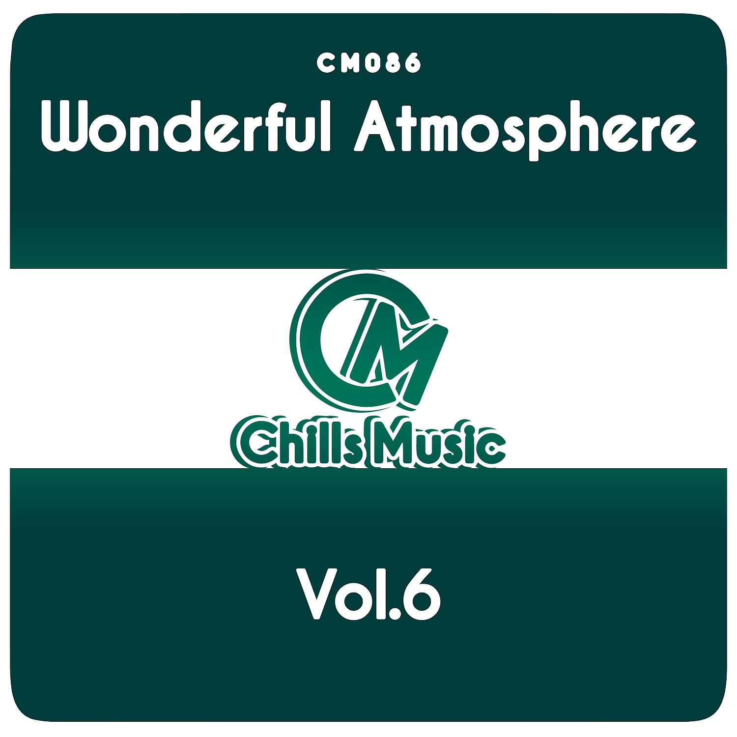 Постер альбома Wonderful Atmosphere Vol.6