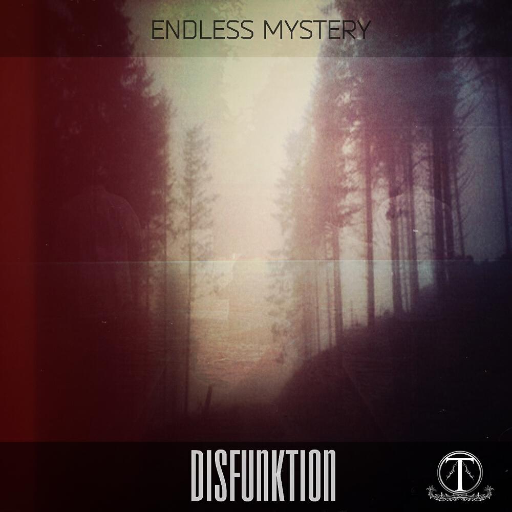 Endless Mystery - Disfunktion