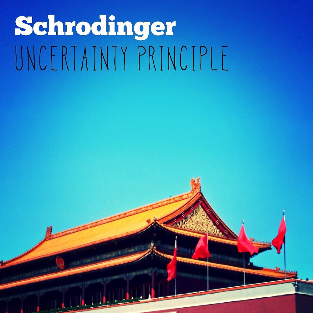 Постер альбома Uncertainty Principle