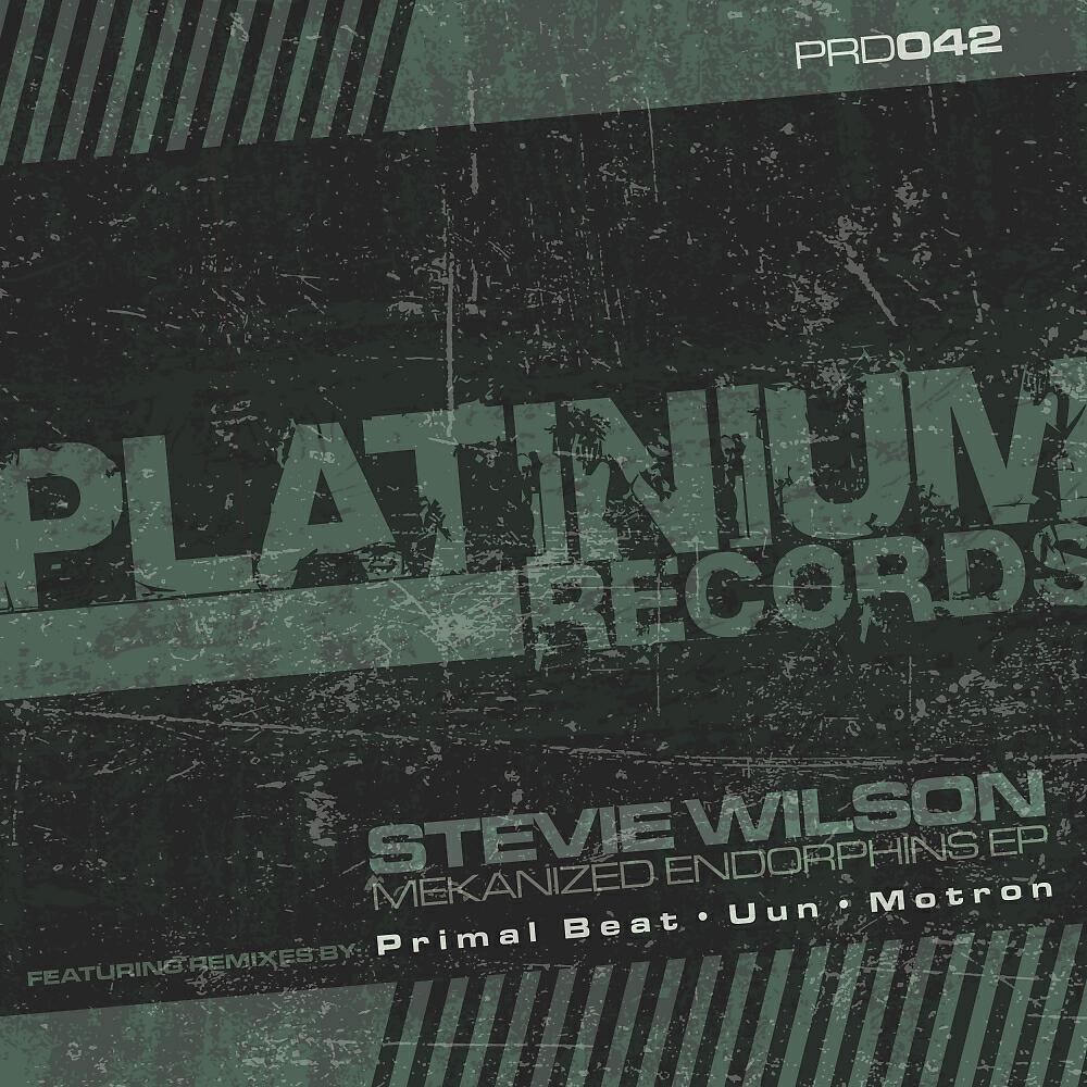 Stevie Wilson - Mekanized Endorphins