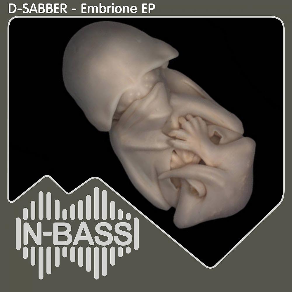 Постер альбома Embrione EP