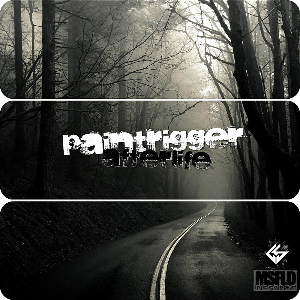 Paintrigger - Afterlife