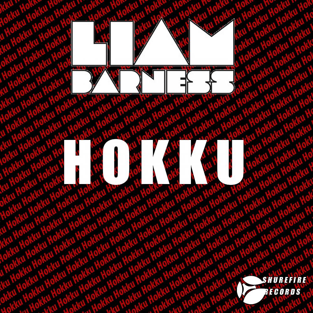 Постер альбома Hokku