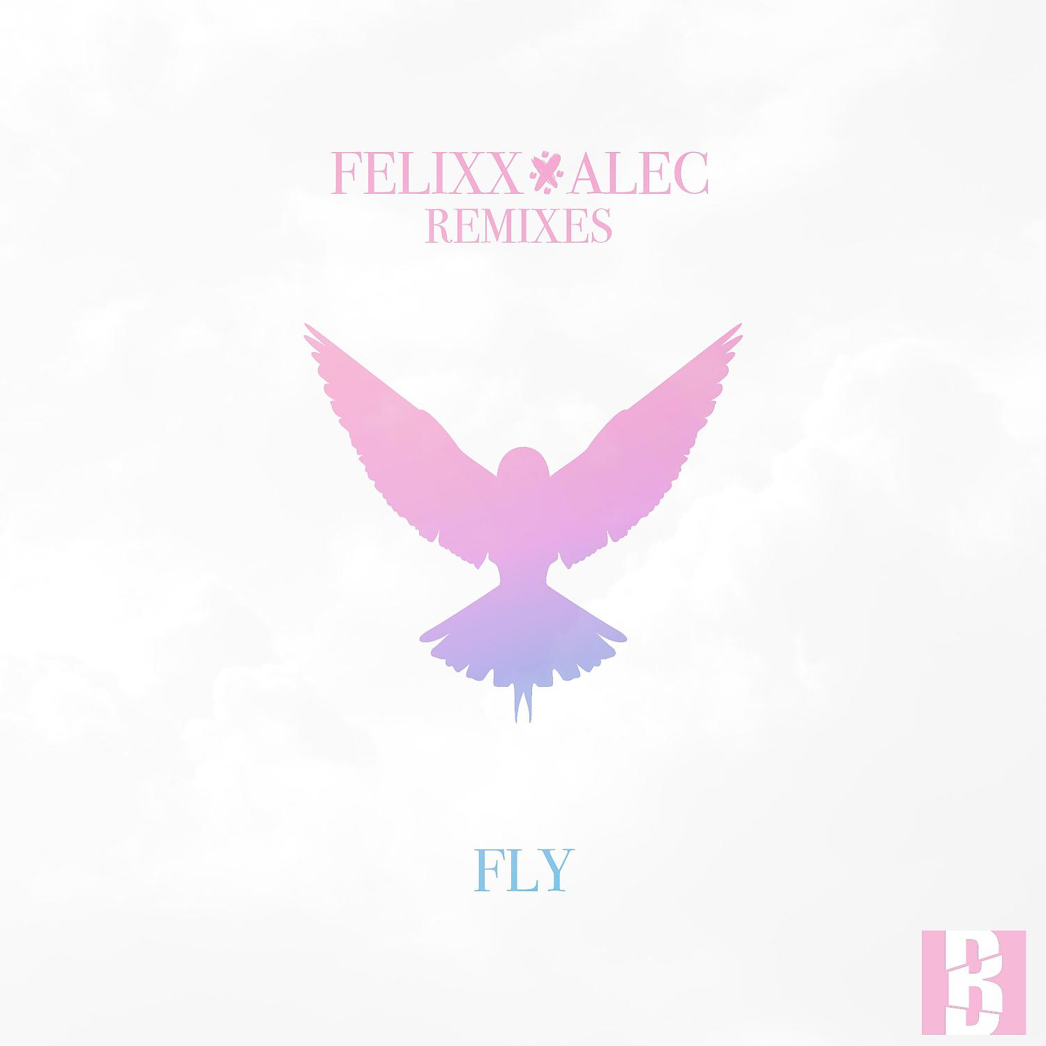 Постер альбома Fly (Remixes)