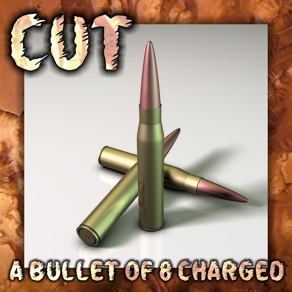 Постер альбома A Bullet of 8 Charged