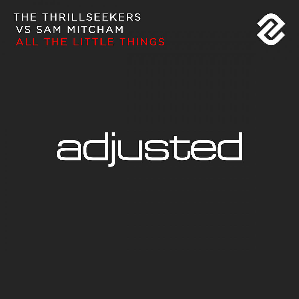 The Thrillseekers - All The Little Things