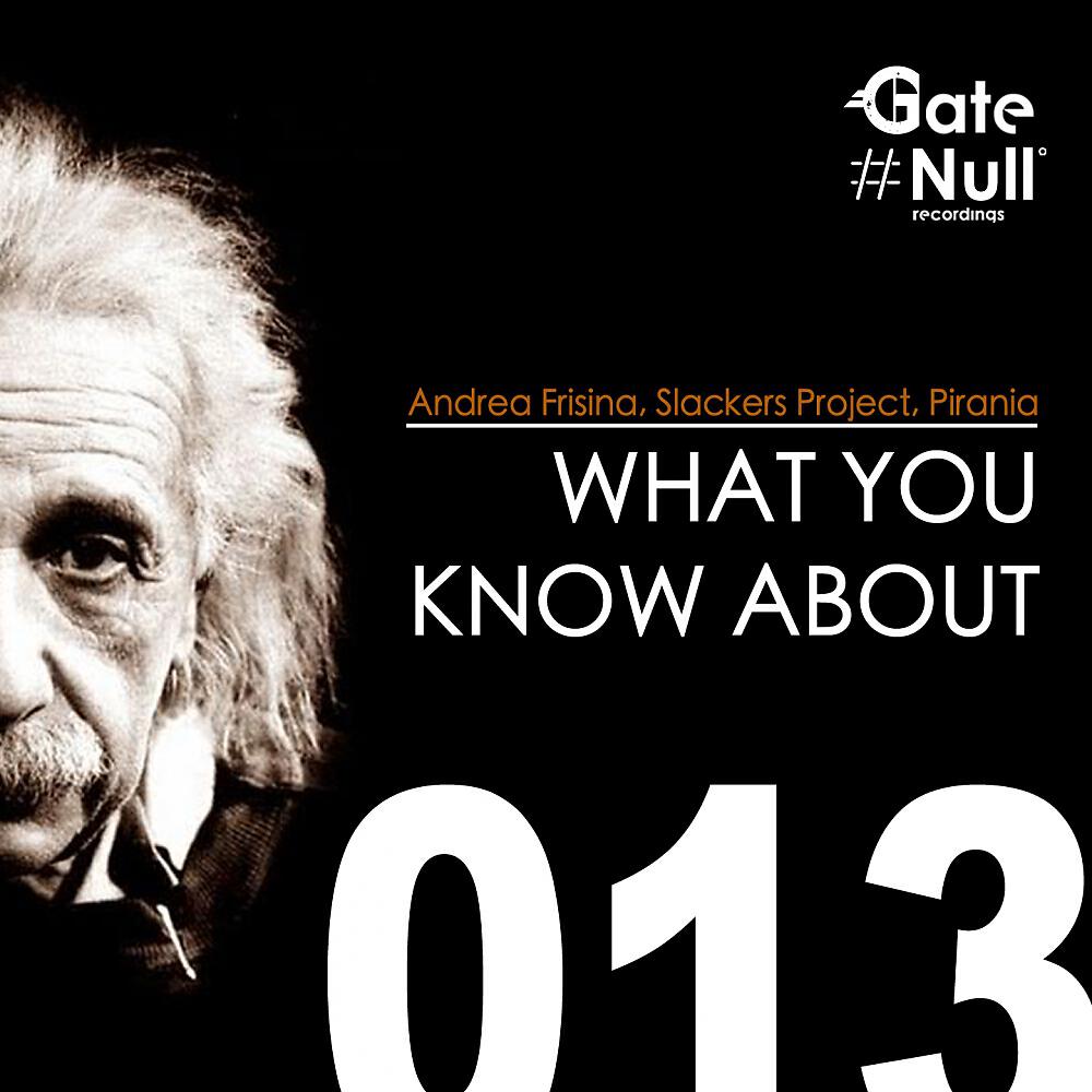 Andrea Frisina - What You Know About (Acida Corporation Remix)