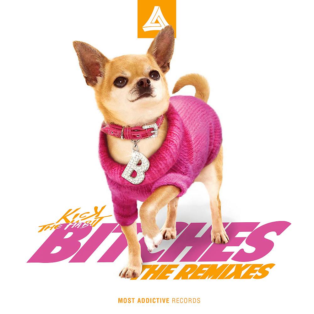 Постер альбома Bitches [The Remixes]