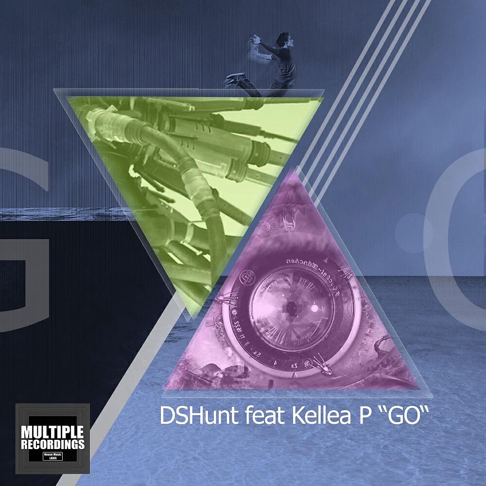 DSHunt - Go
