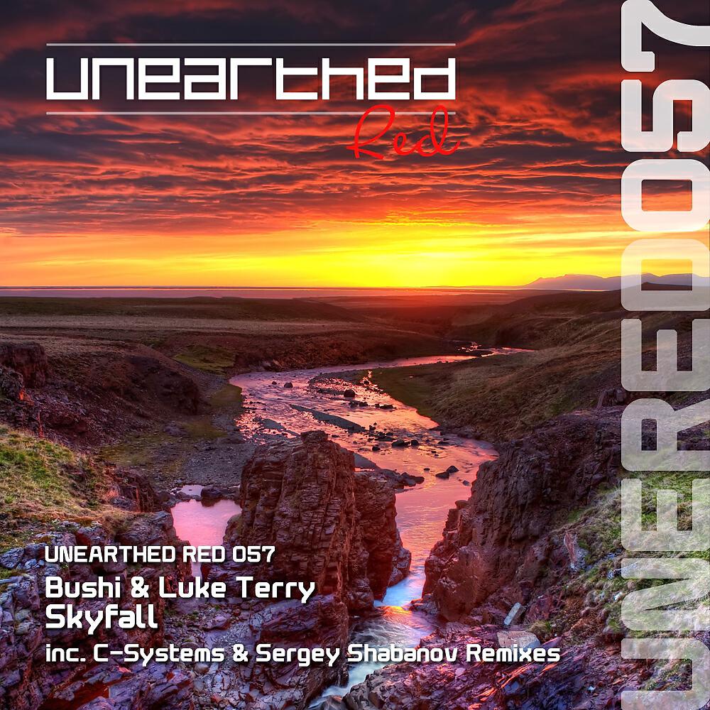 Bushi - Skyfall (Sergey Shabanov Remix)