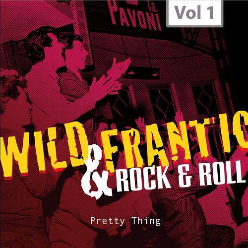 Постер альбома Wild and Frantic - Rock 'n' Roll, Vol. 1