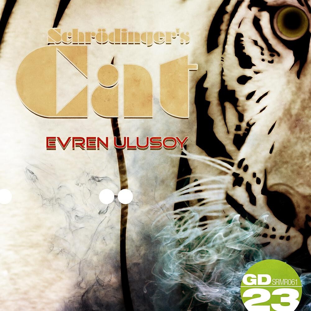 Evren Ulusoy - Schrodinger's Cat (Subsky Meow Remix)