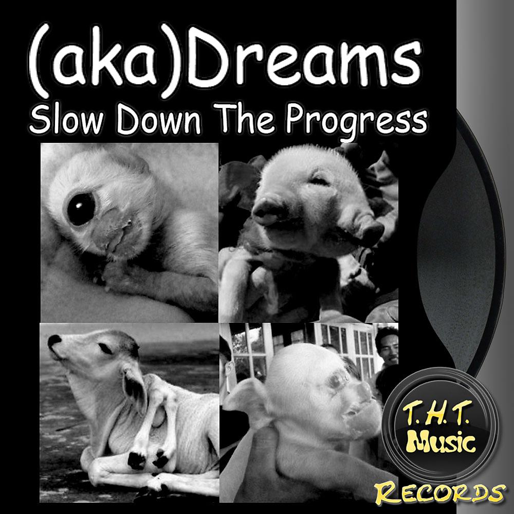 Постер альбома Slow Down The Progress