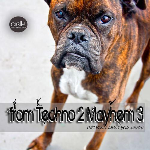 Постер альбома From Techno 2 Mayhem 3
