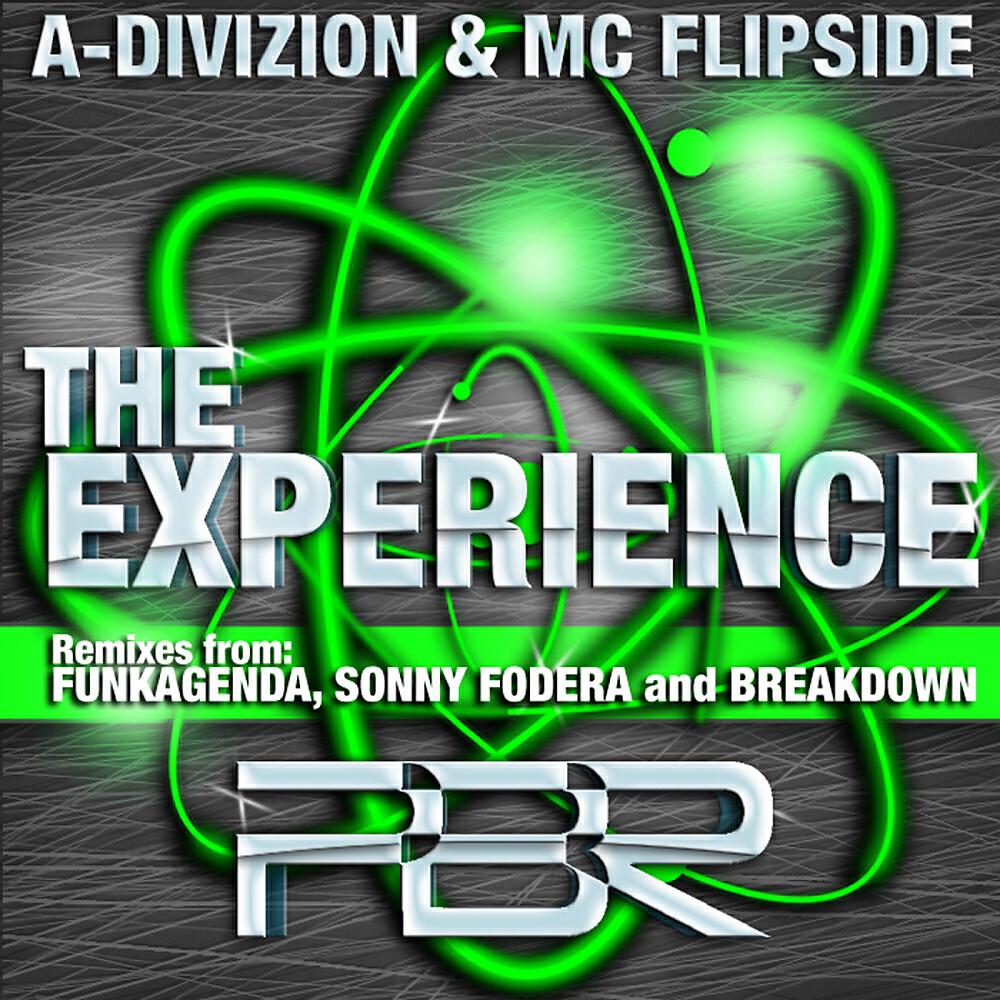 MC Flipside - The Experience (Acapella)