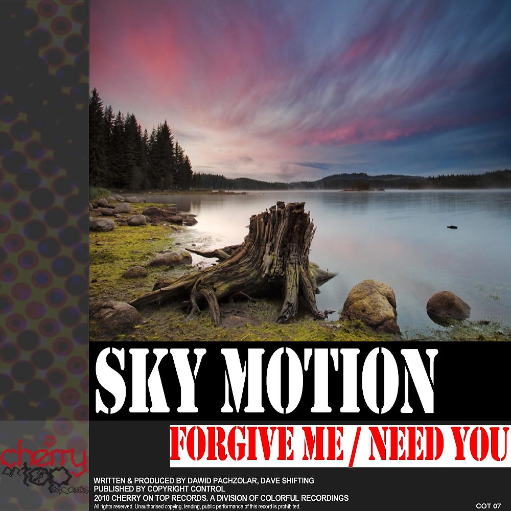 Постер альбома Forgive Me / Need You