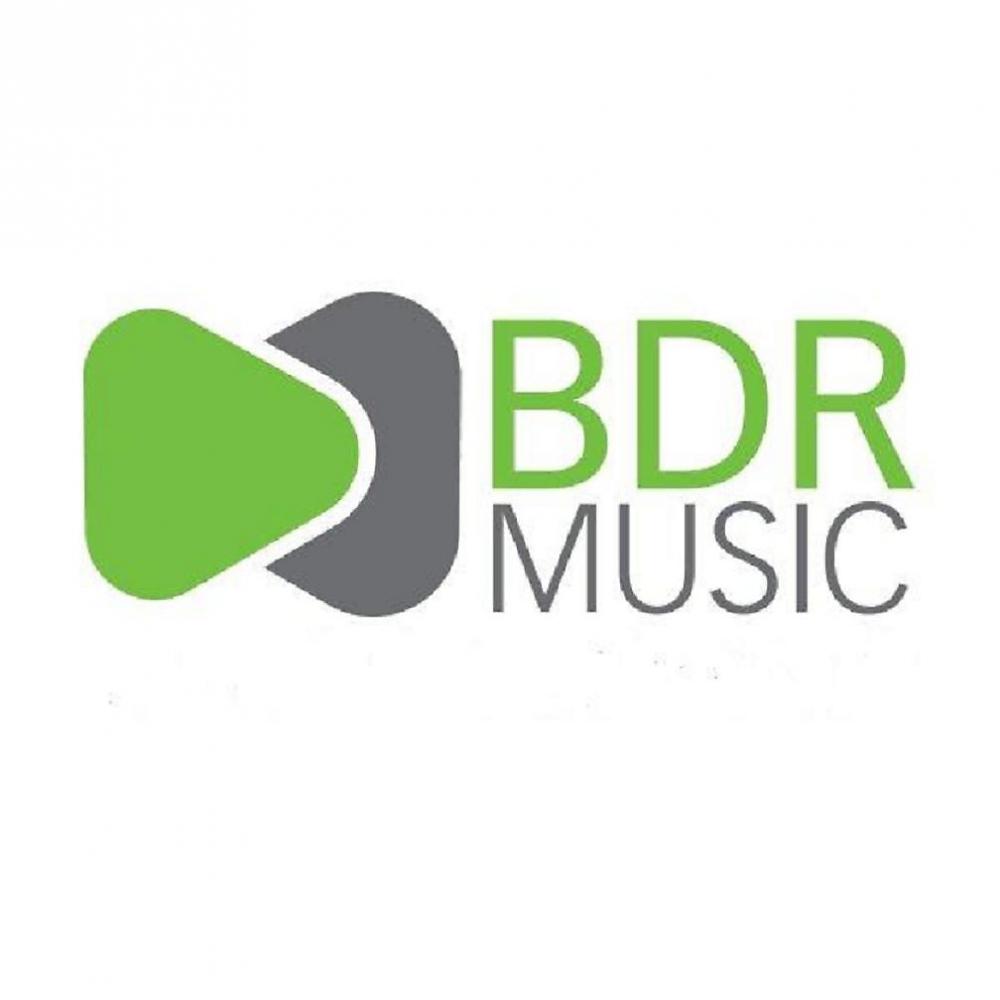 Постер альбома The Best of BDR Music 2010 Vol 1