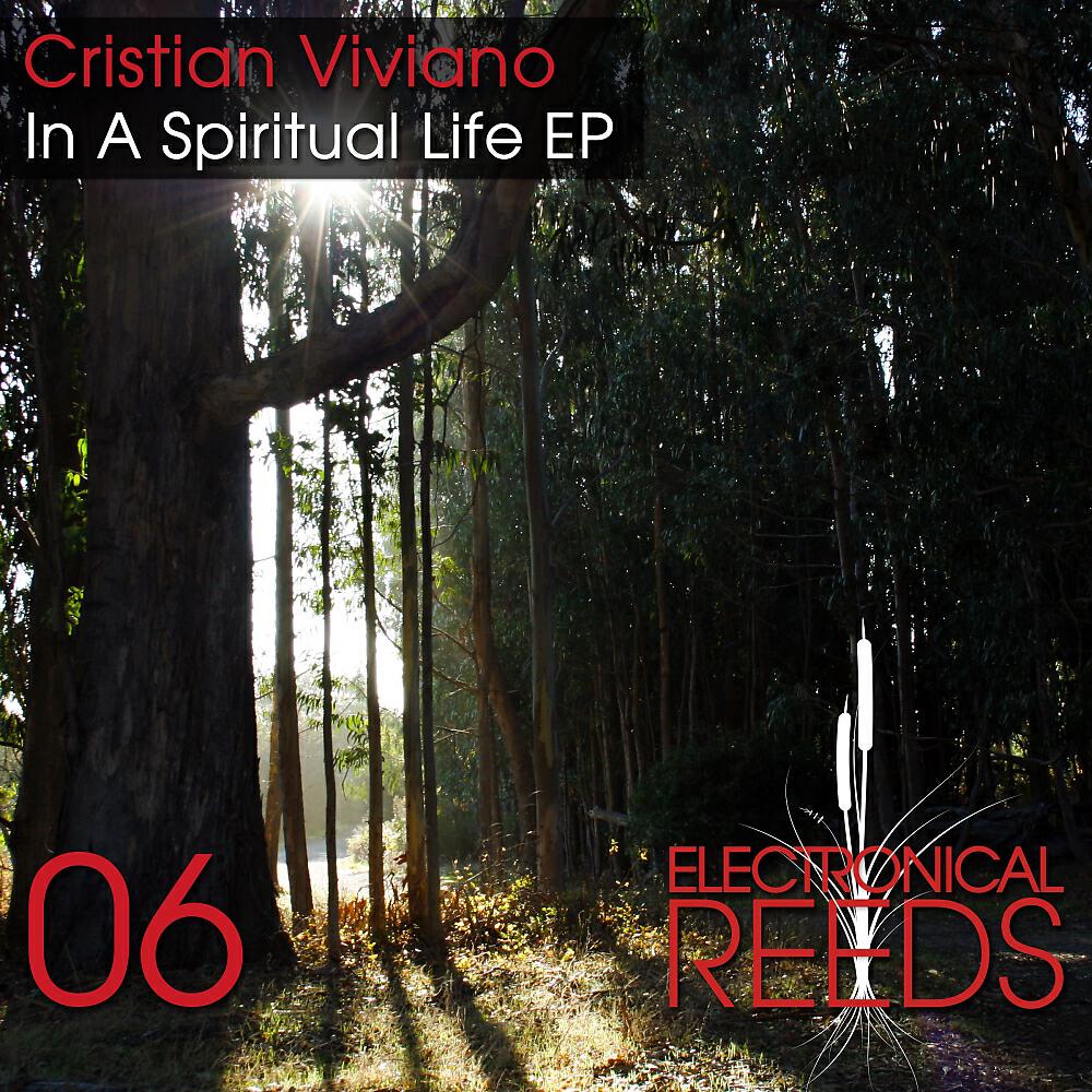 Cristian Viviano - I'm Not Alone (Felix Cage Remix)