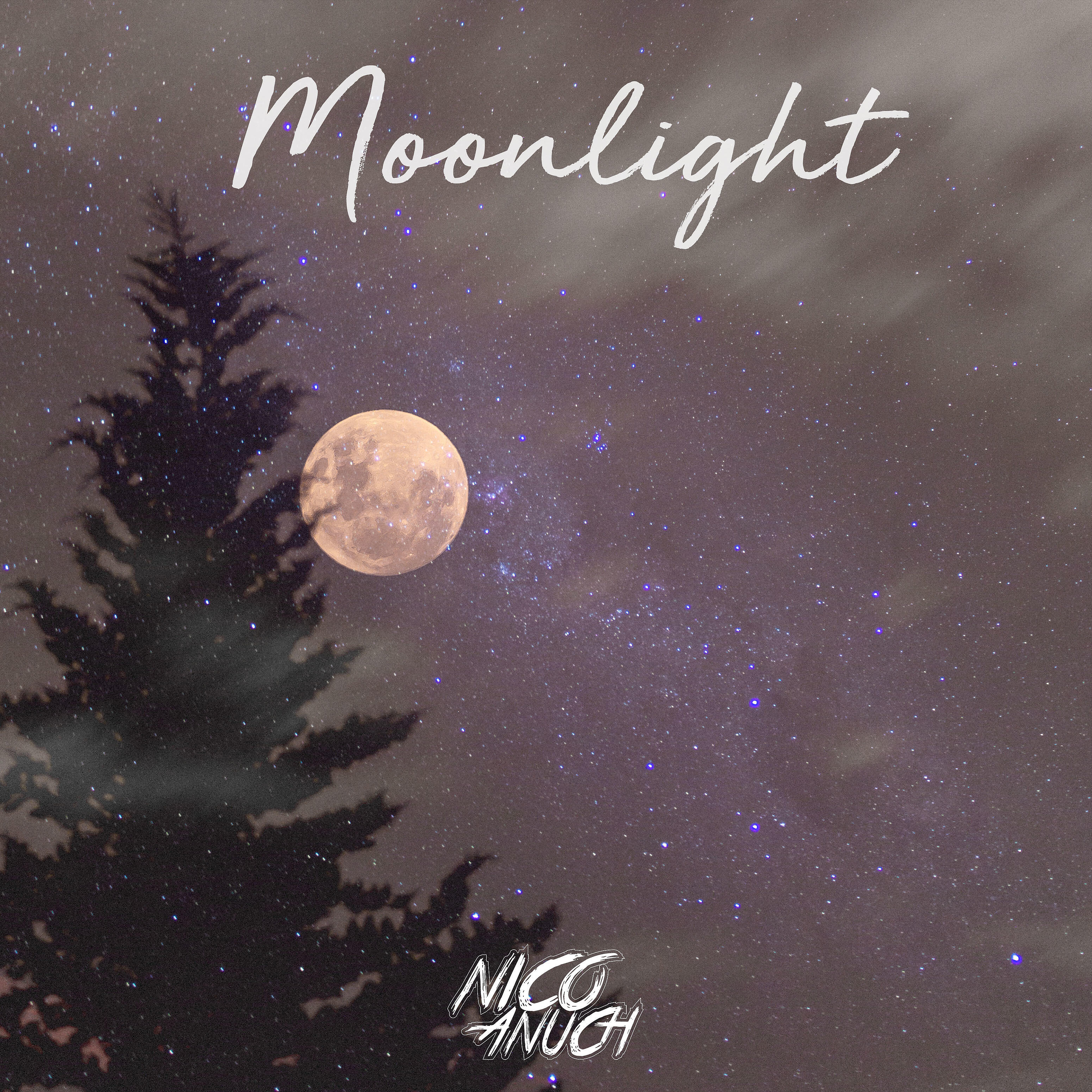 Nico Anuch - Moonlight