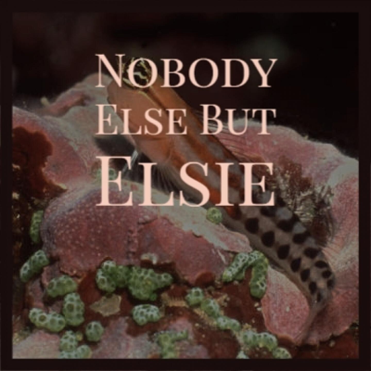 Henry Hall & The BBC Dance Orchestra - Nobody Else but Elsie