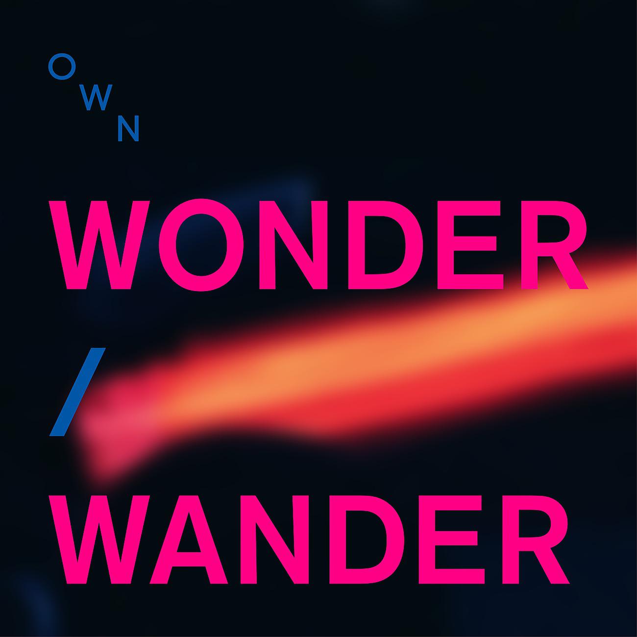 Постер альбома Wonder / Wander