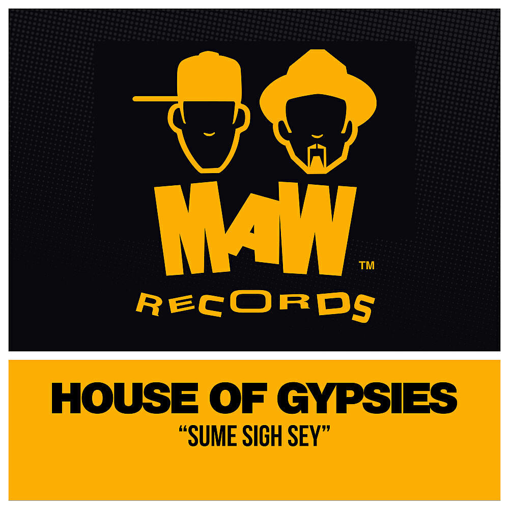 House Of Gypsies - Sume Sigh Sey (Tee's Remix)
