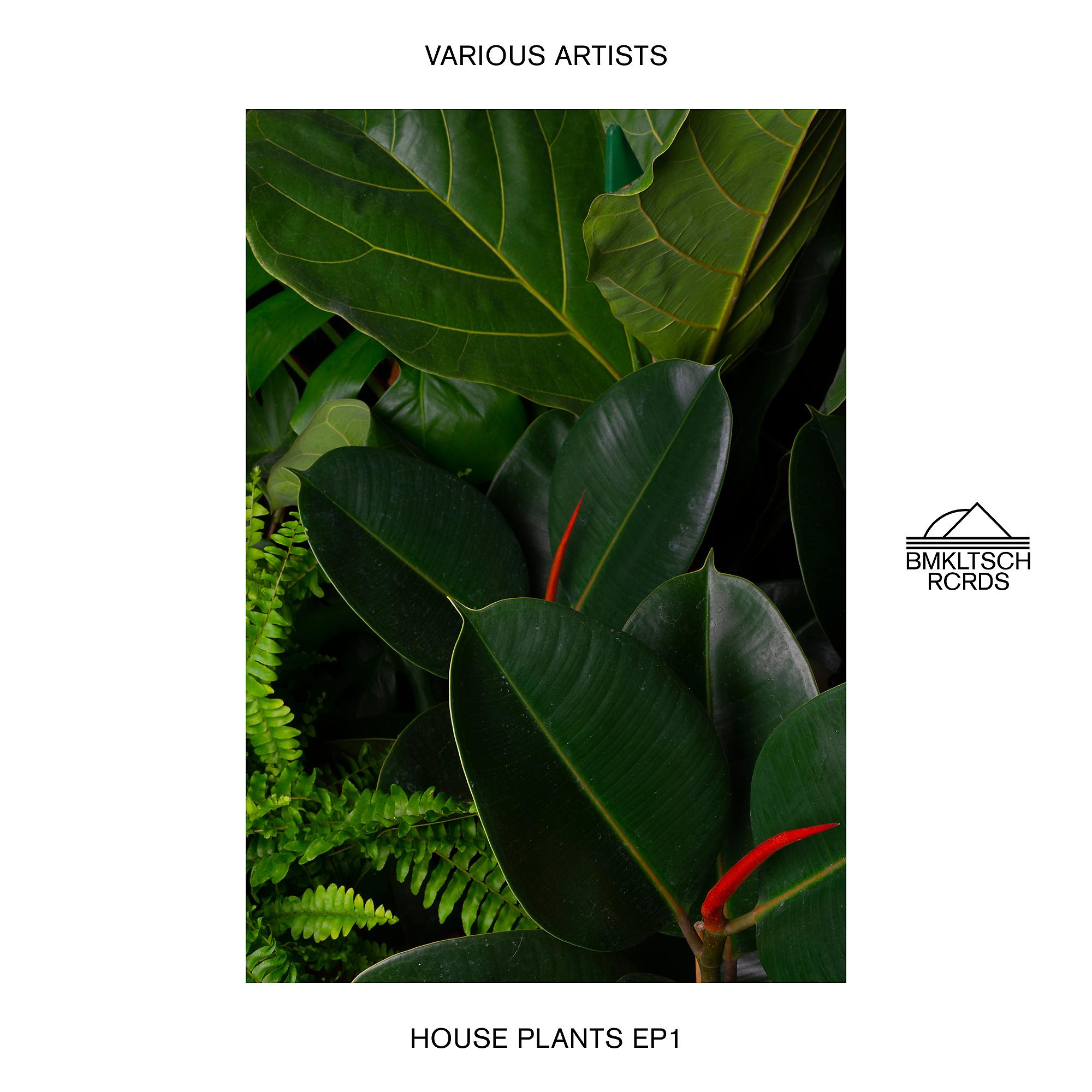 Постер альбома House Plants EP 1