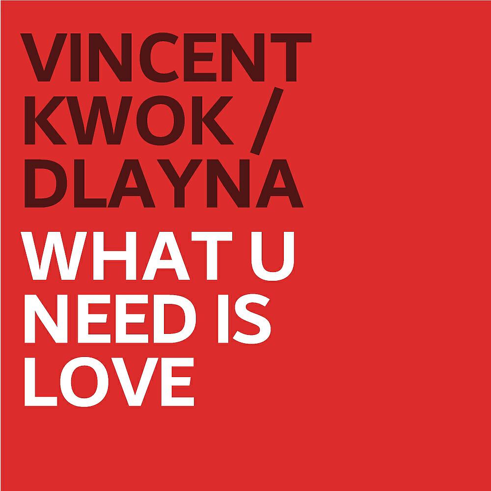 Vincent Kwok - What U Need Is Love (Vincent Kwok Remix)
