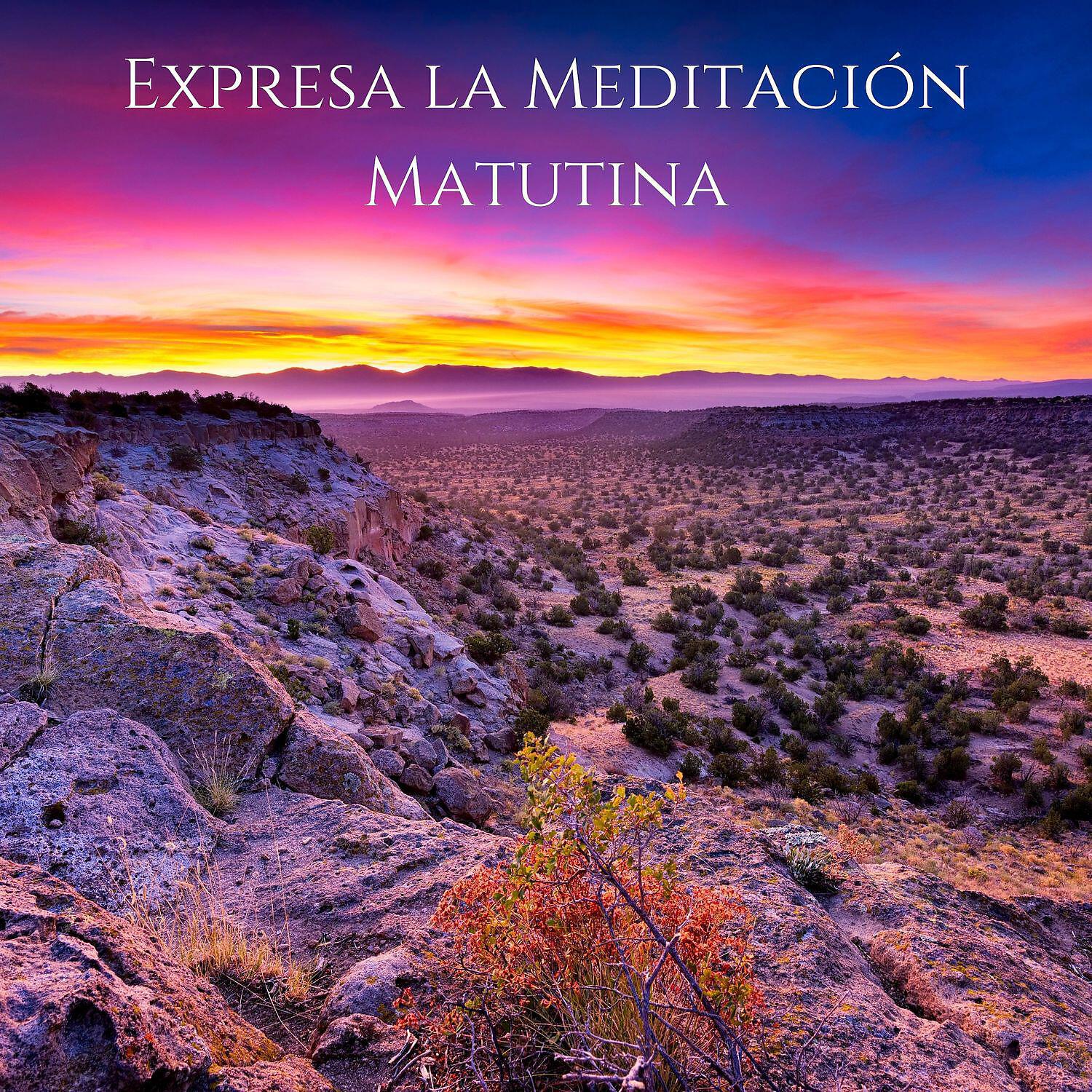 Meditação e Espiritualidade Musica Academia - Terapia de Yoga