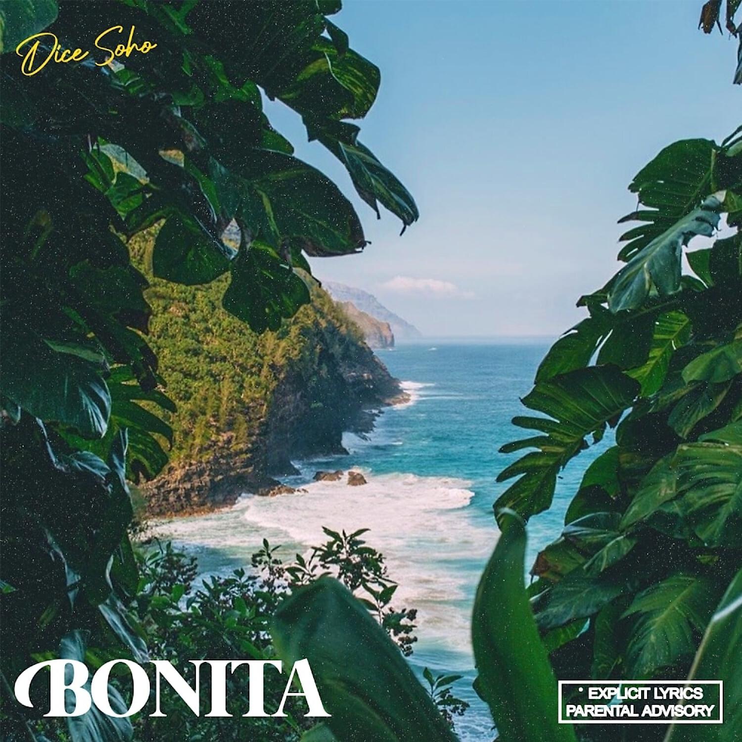 Dice SoHo - Bonita